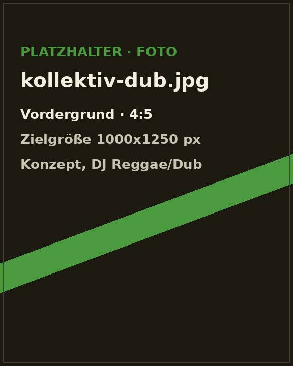 Porträt von DubFactorX, DJ für Reggae · Dub · Dubstep · Dub-Techno