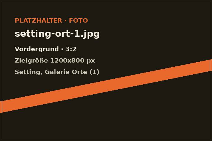Waldlichtung mit aufgebautem DJ-Set bei Sonnenuntergang